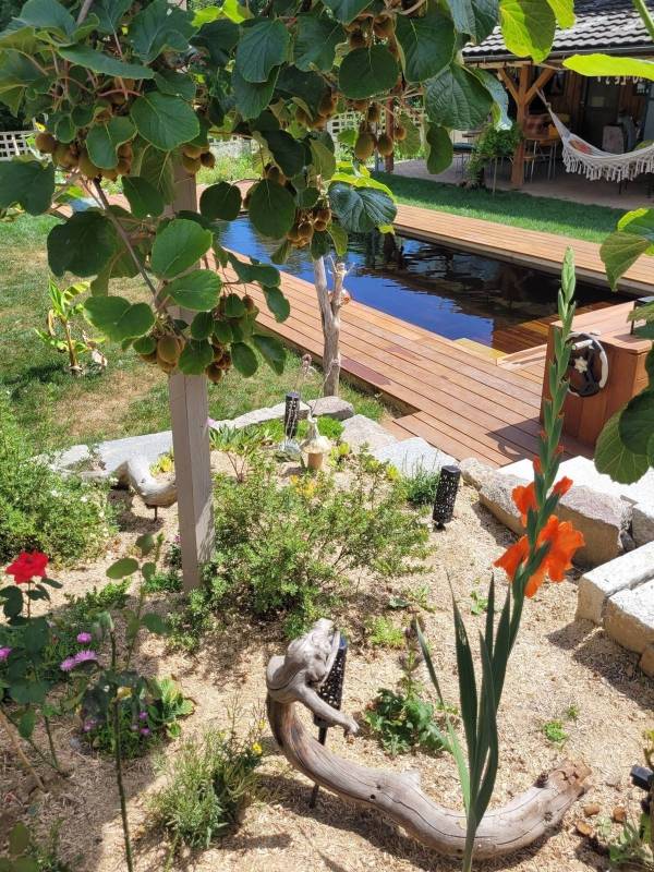 Installation d'une piscine avec filtration sans chlore et sans produits chimiques