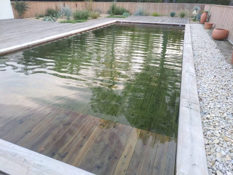 Piscine naturelle et biologique en bois massif immergé à Aix en Provence