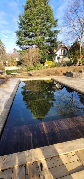 Projet piscine ecoresponsable avec intégration paysagère sur Lyon