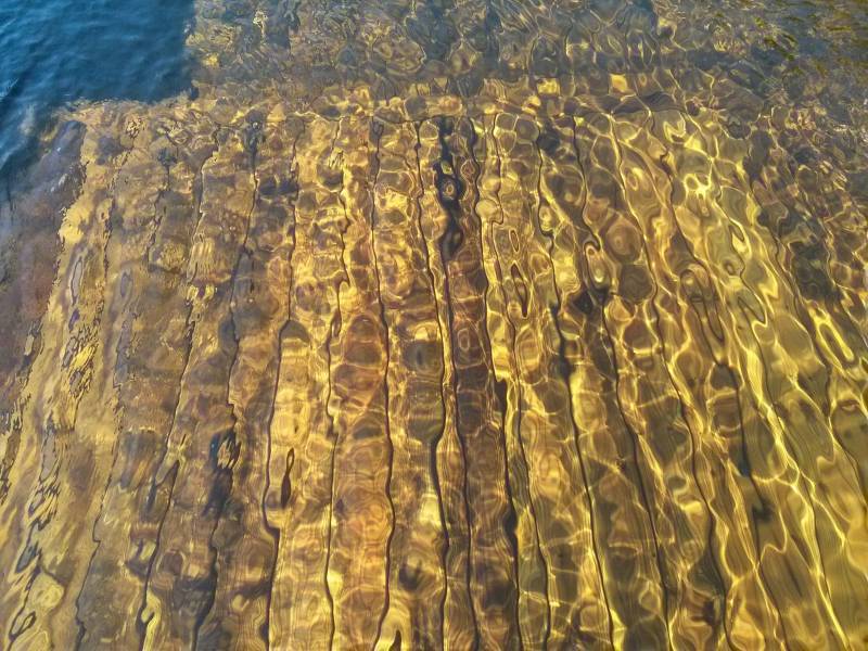 Entretien d'un bassin naturel en bois immergé à Aix en Provence