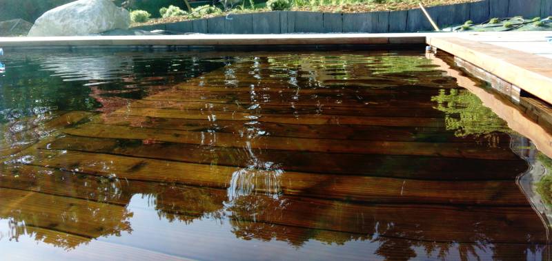 Piscine écologique en fond bois et une eau naturelle à Orthez