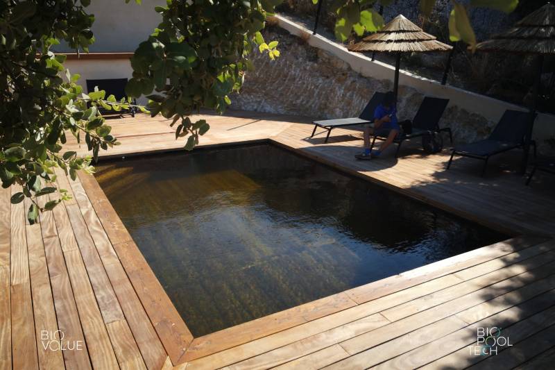 Installation d'une piscine naturelle en bois immergé à toulon dans le Var avec filtration bio