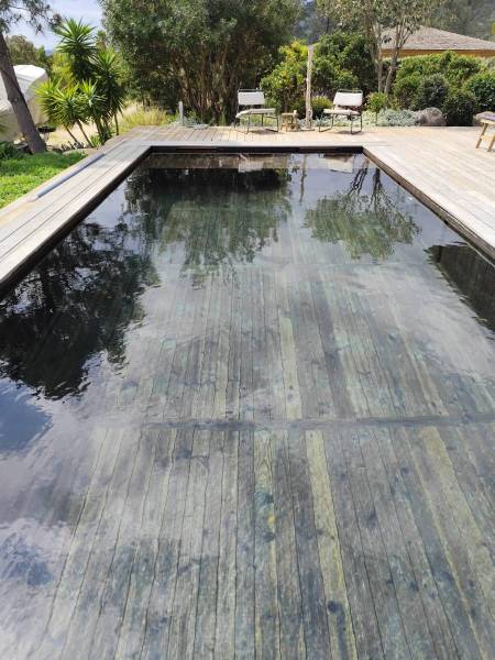 Construction d'une piscine naturelle en bois haut de gamme