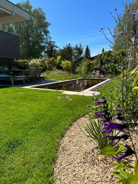 Projet piscine écologique avec filtration sans chlore à Lausanne en Suisse