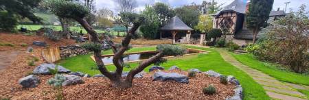 Nos prestations sur le secteur de Lausanne Suisse