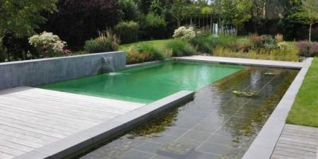 Piscine traditionnelle de Diffazur vs piscine naturelle sans béton de biovalue biopooltech